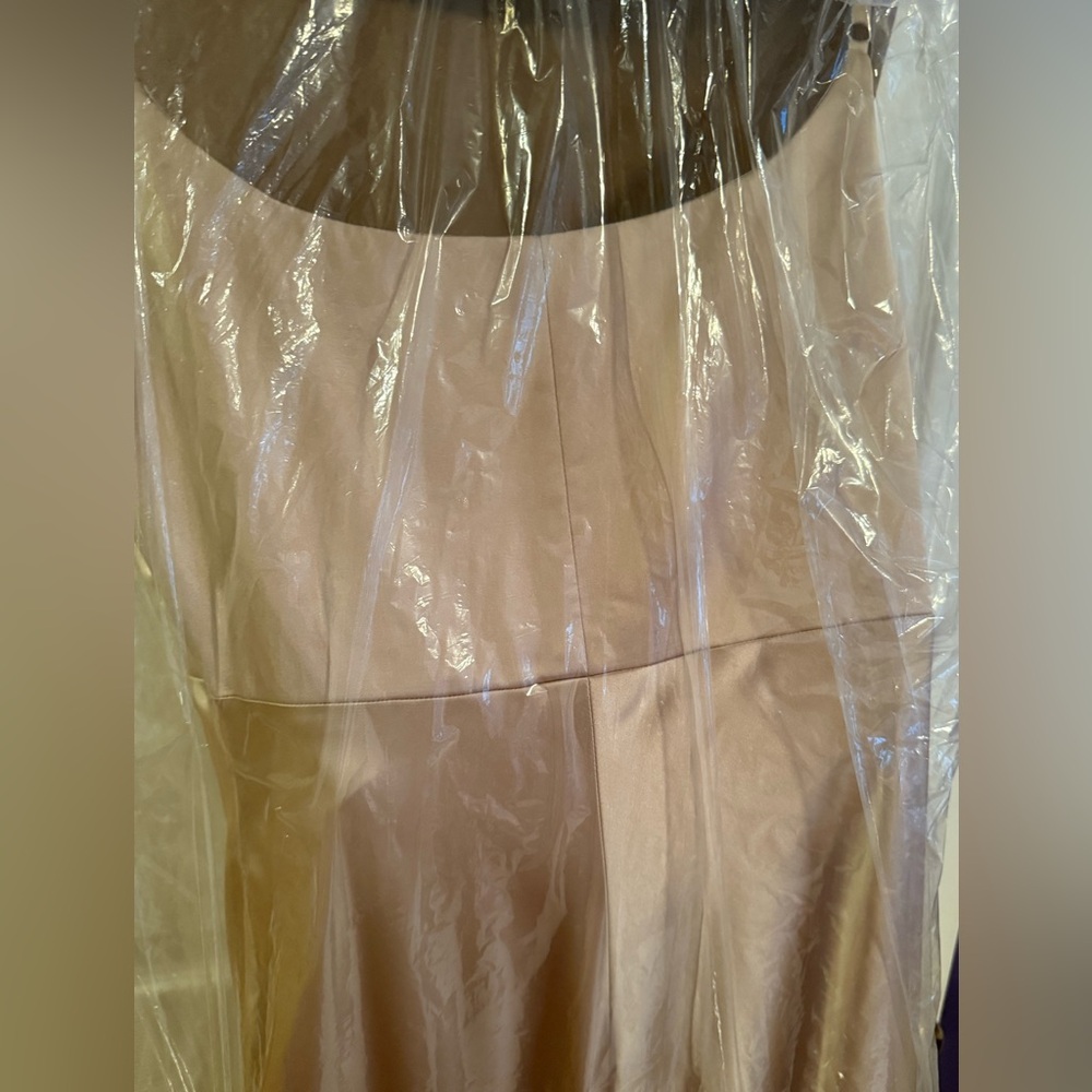 Revelry Blush Satin Gown - Picture 4 of 5